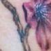 Tattoos - Cherry Blossom Branch &  Hummingbird - 62052